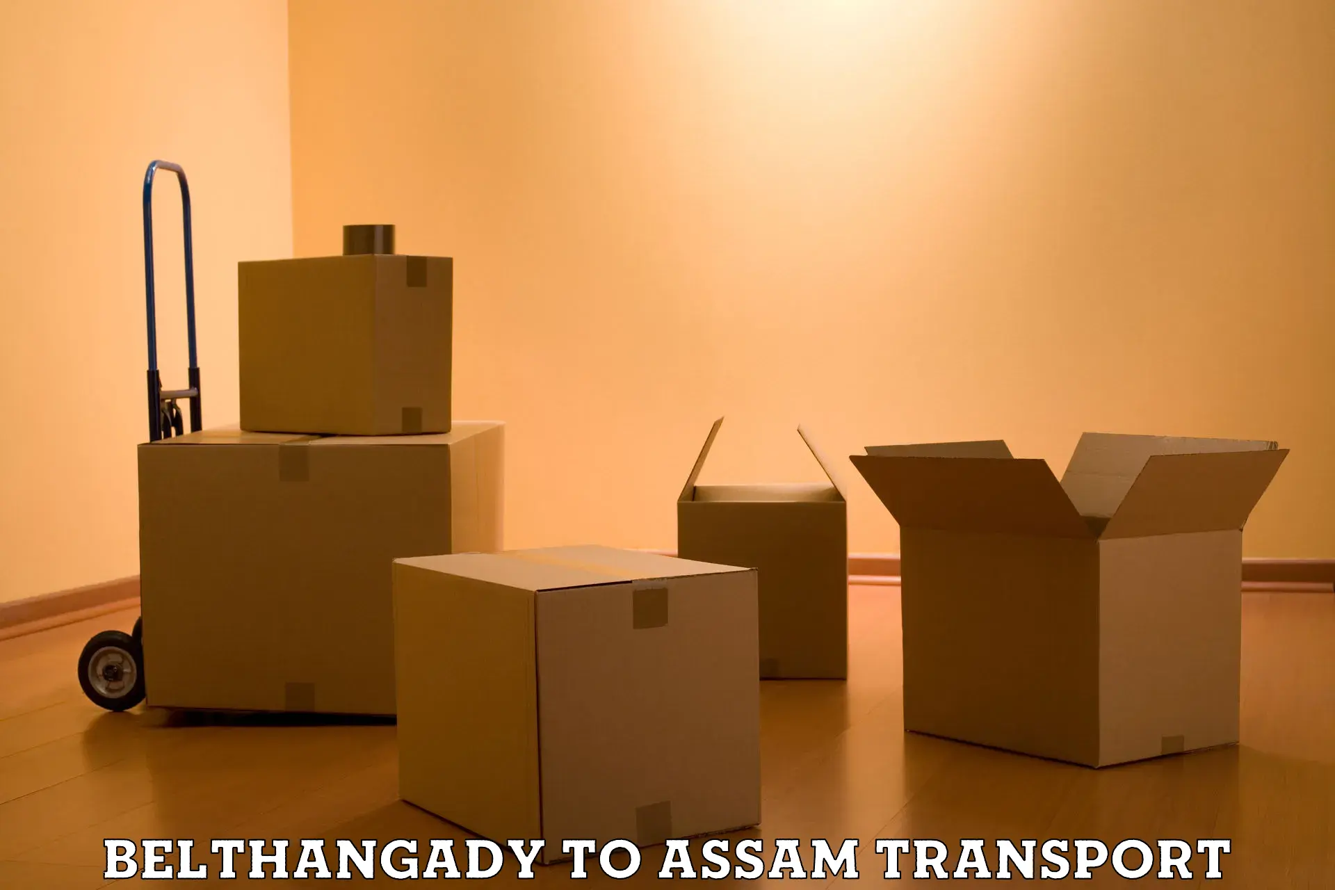 Material transport services Belthangady to Sivasagar