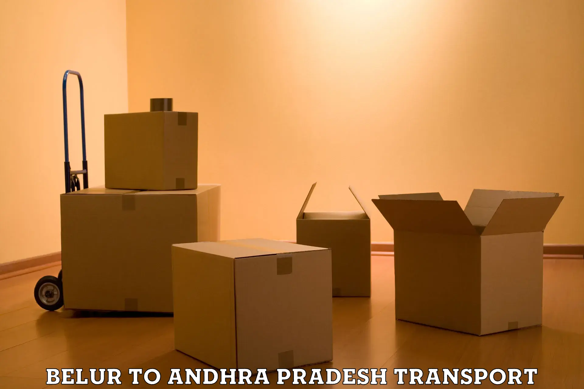 Part load transport service in India Belur to Tadikonda