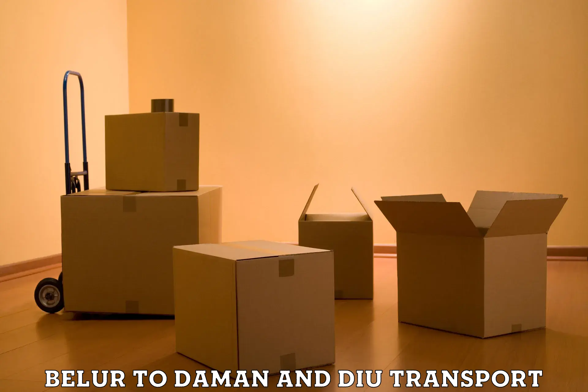 Daily transport service Belur to Daman
