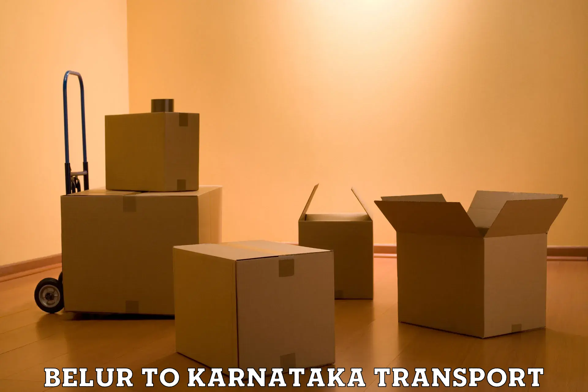 Two wheeler parcel service Belur to Mangalore Port