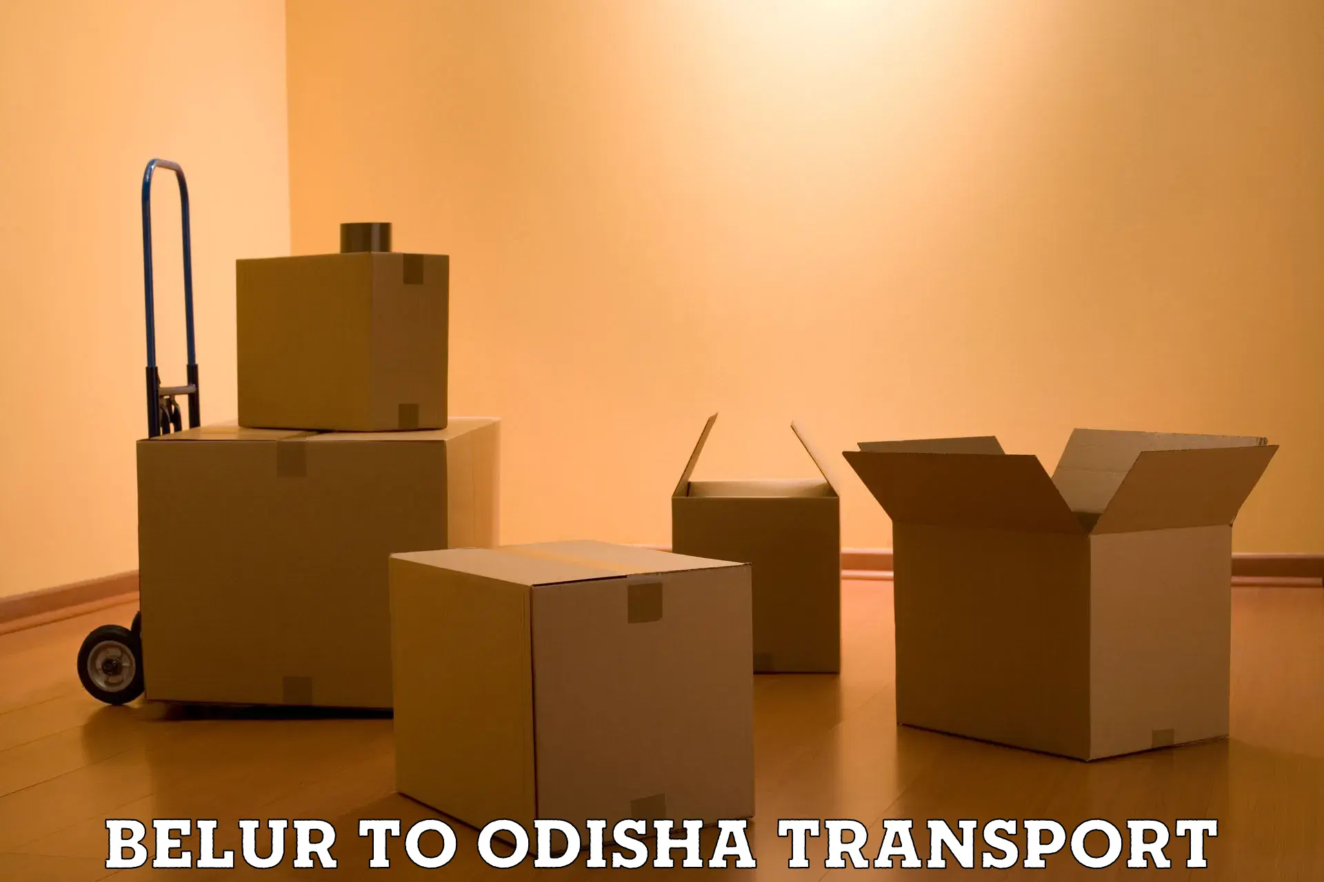 Luggage transport services Belur to Odisha