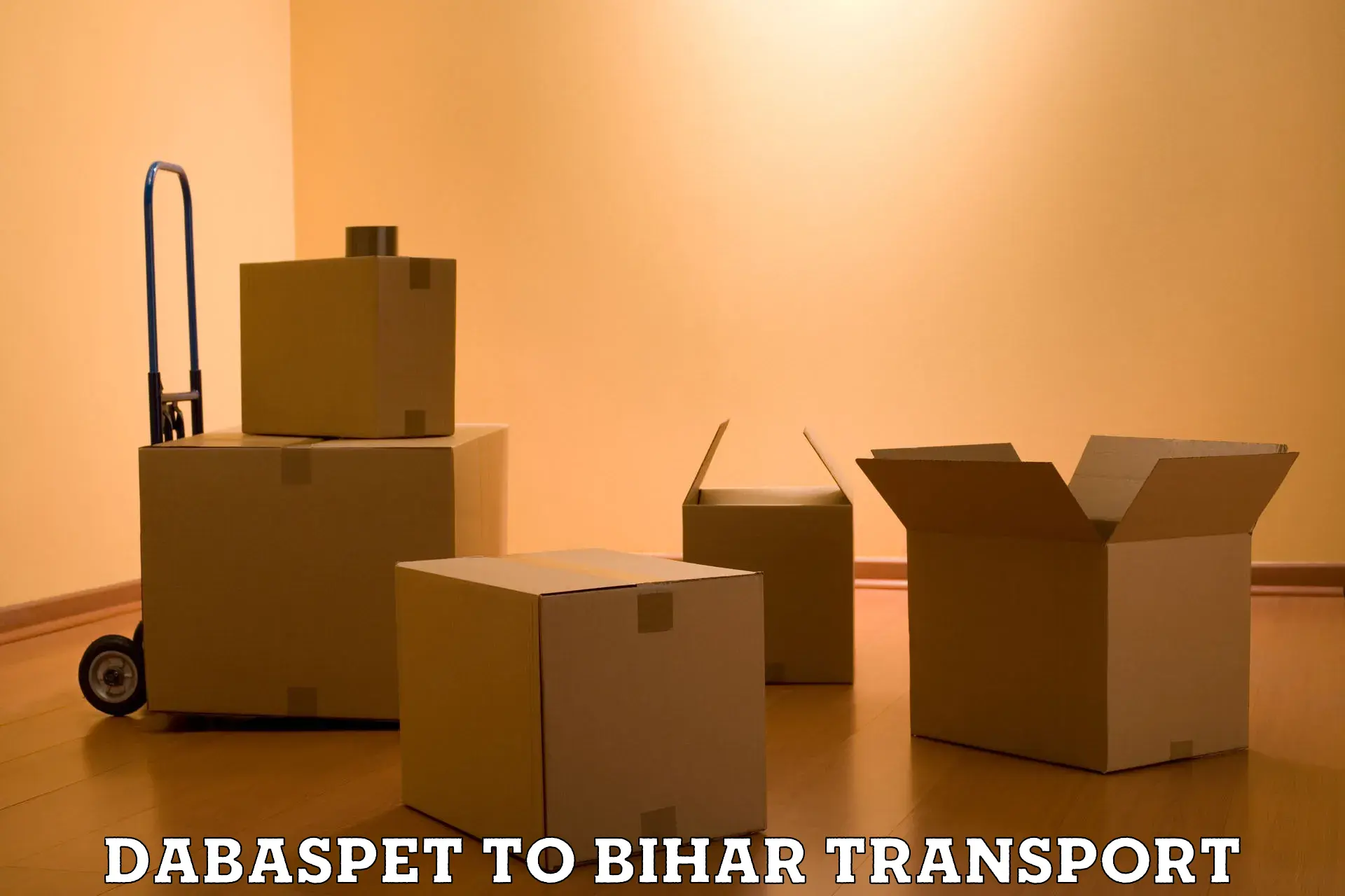 Cargo transportation services Dabaspet to Chakai