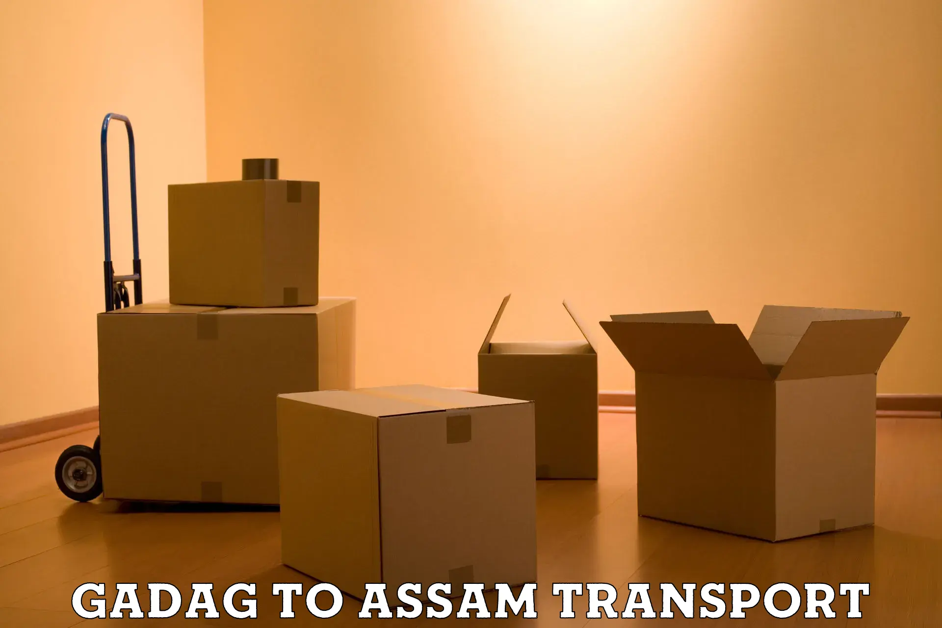 Air freight transport services Gadag to Assam University Silchar