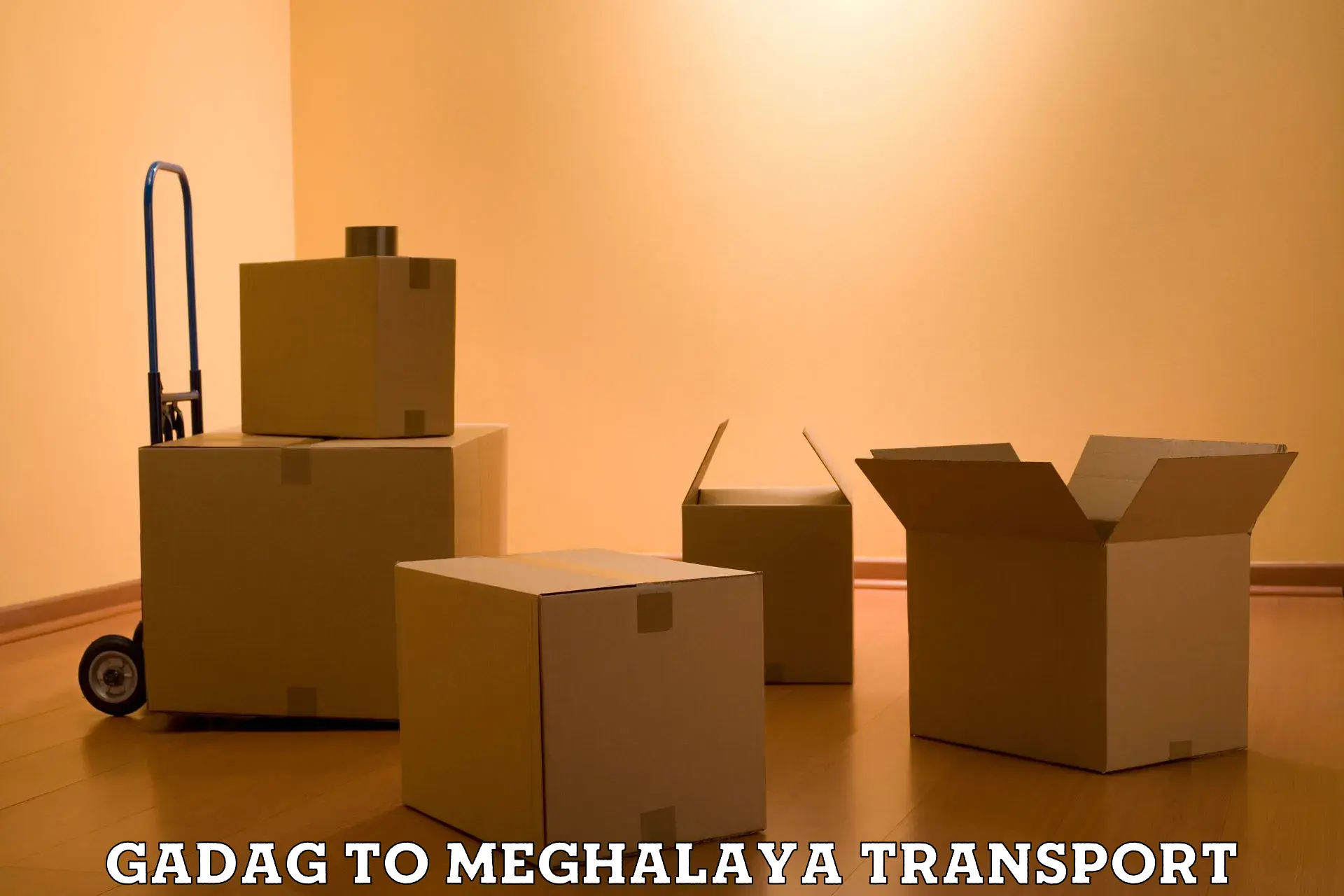 Air cargo transport services in Gadag to Meghalaya