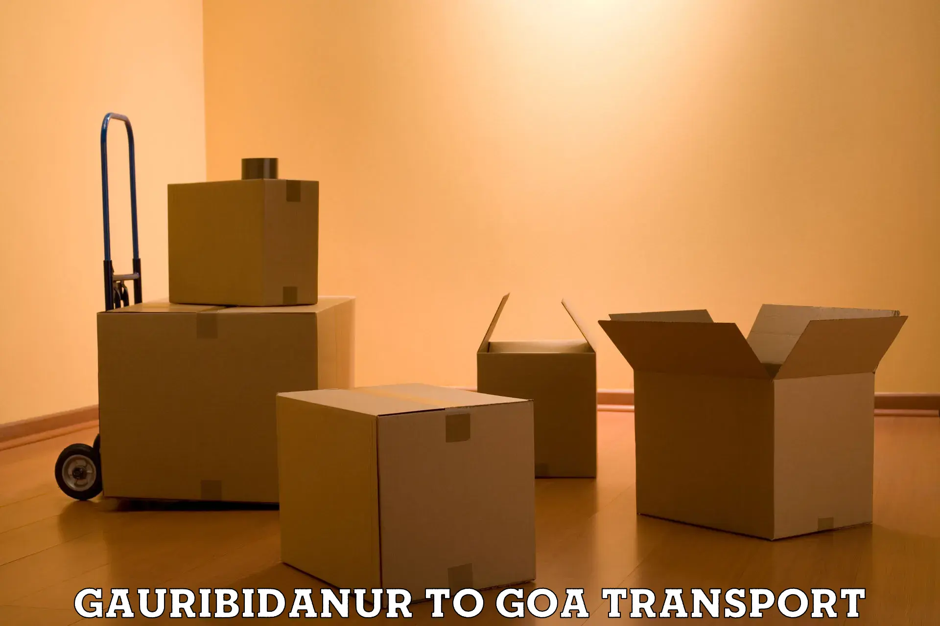 Cargo transport services Gauribidanur to Bicholim