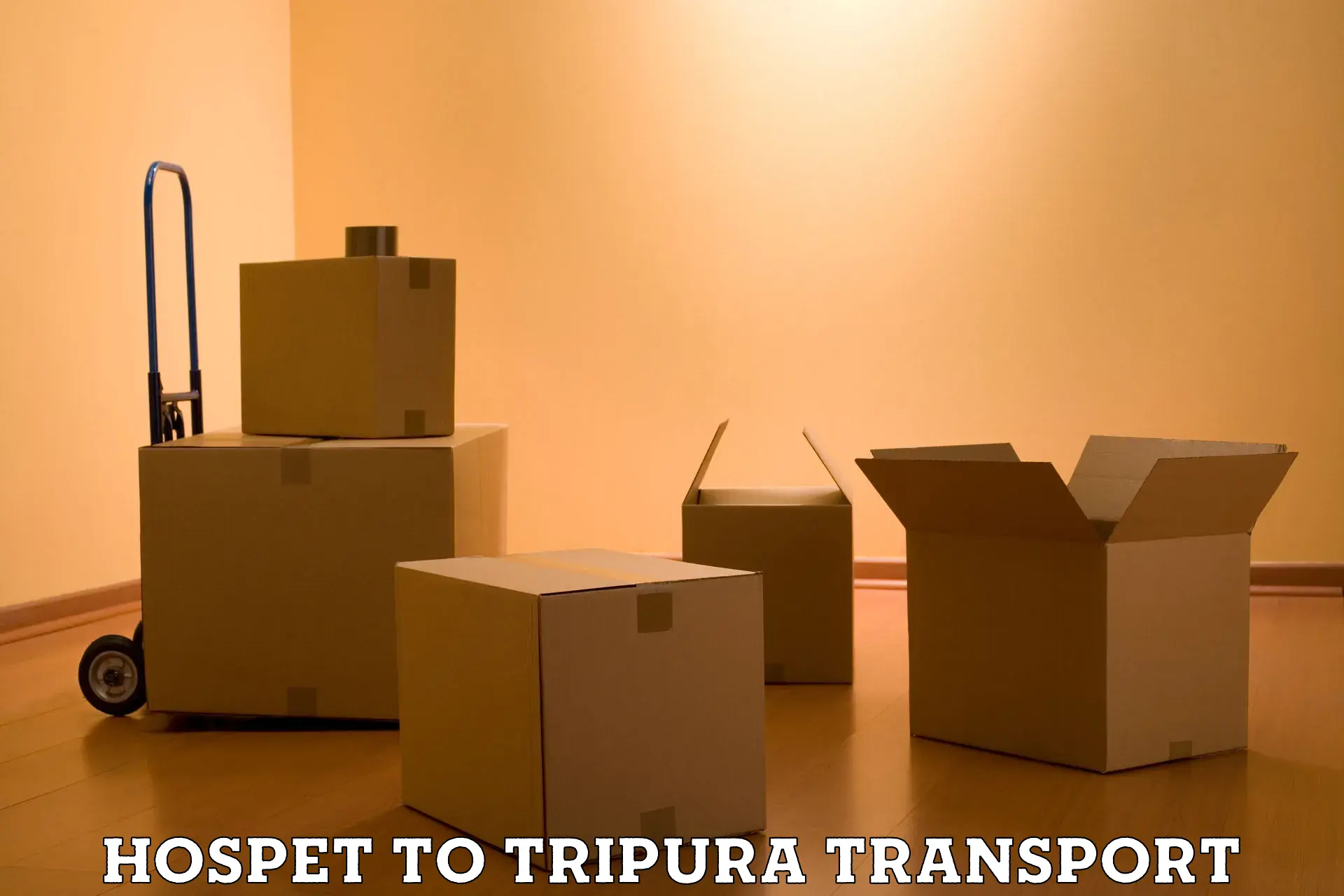 Commercial transport service Hospet to Udaipur Tripura
