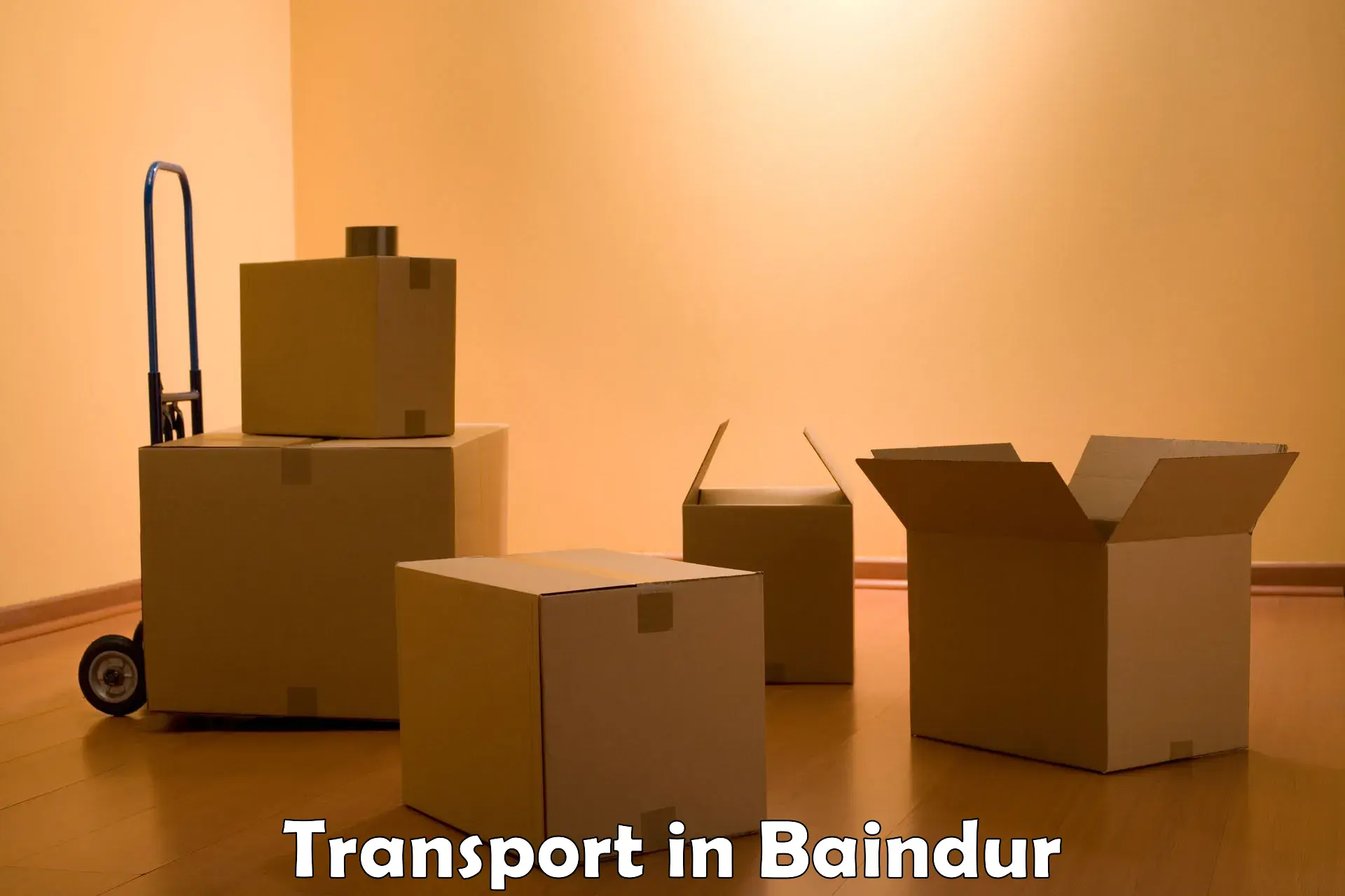 Domestic goods transportation services in Baindur