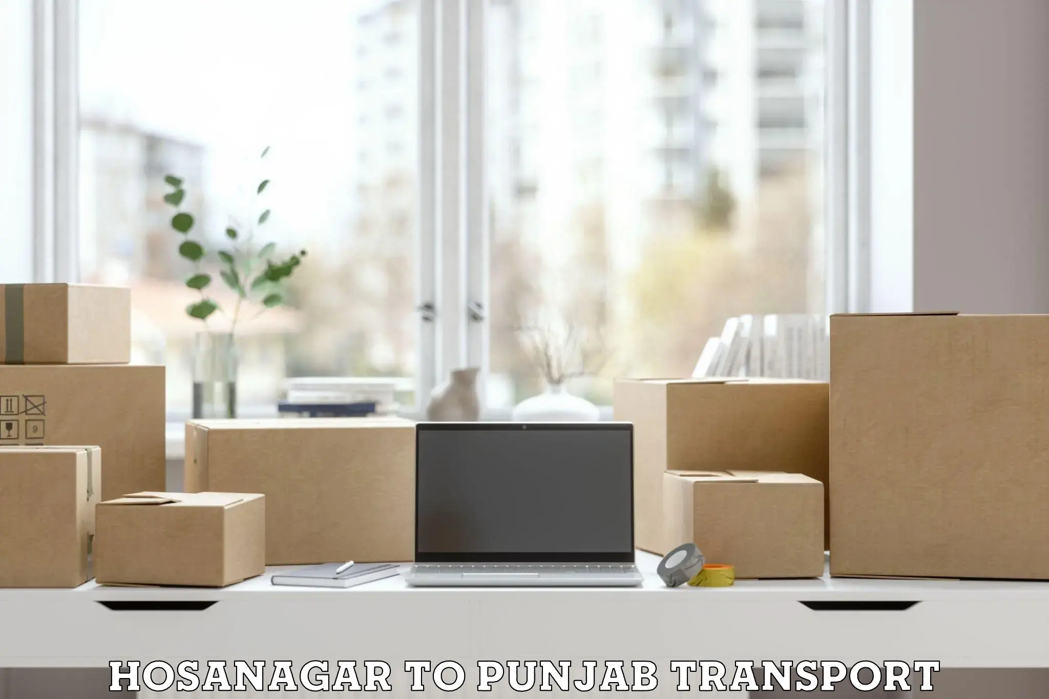 Cargo transportation services Hosanagar to Adampur Jalandhar