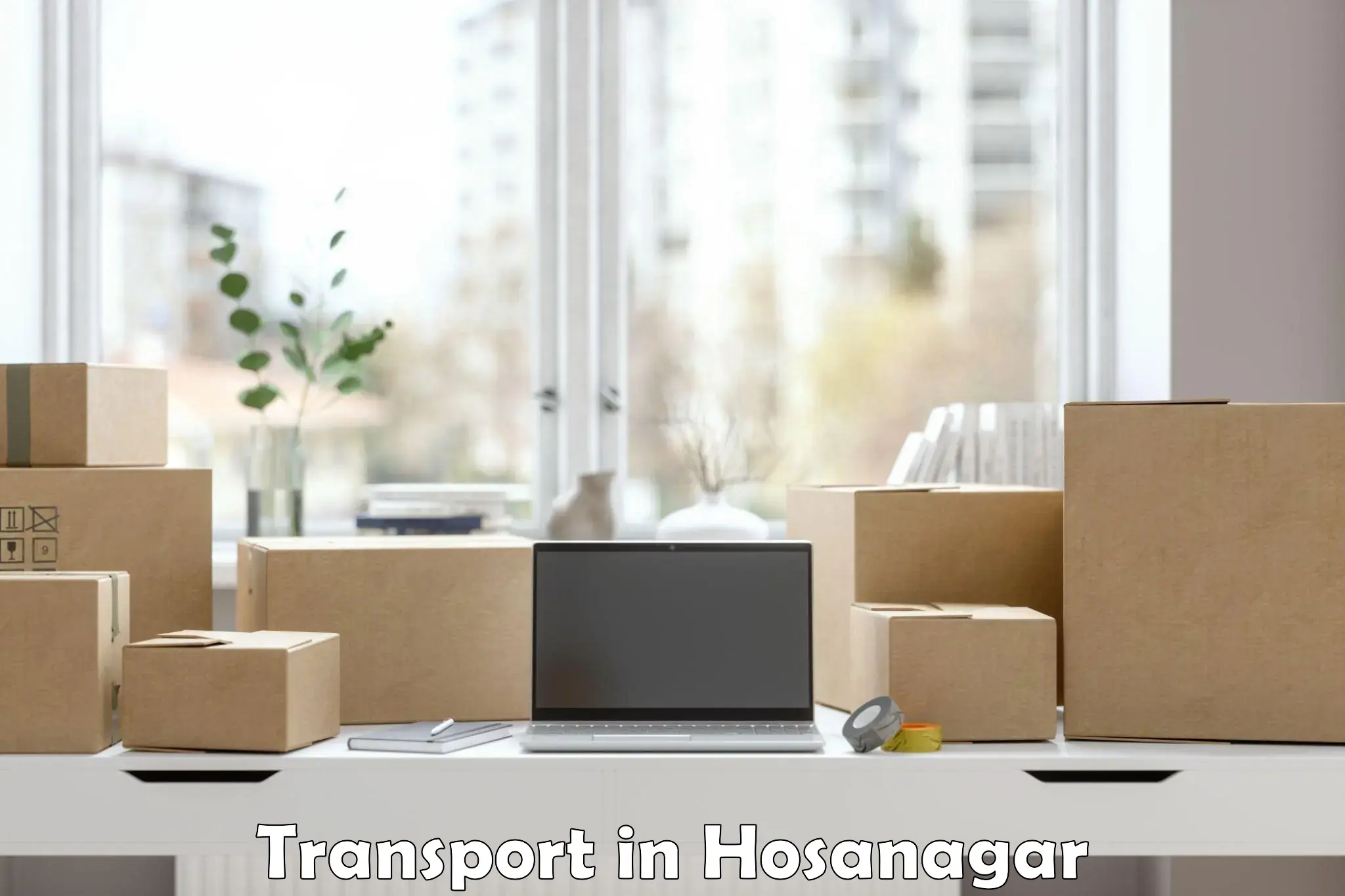 Daily parcel service transport in Hosanagar